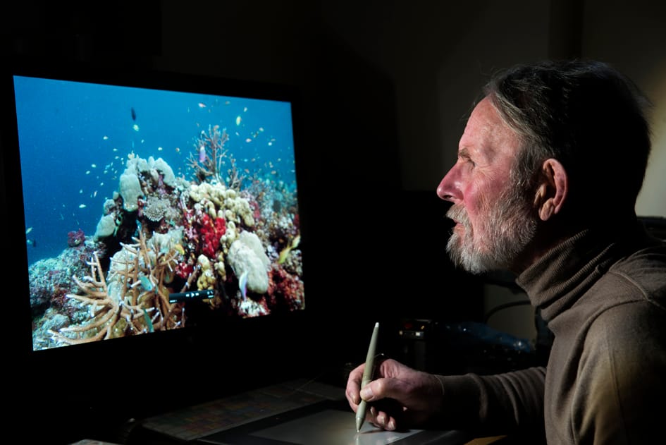 Peter Scoones, documentalista: “Lo más difícil es filmar para el gran público”
