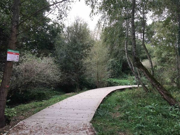 Echarse al monte... en Vigo
